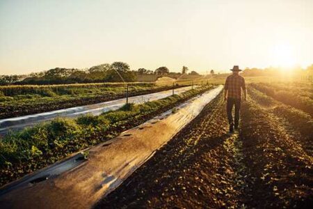 Benefits of the Natural-Organic Program Image
